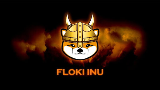 floki inu token