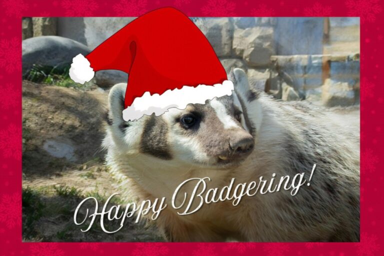 Happy Badgering