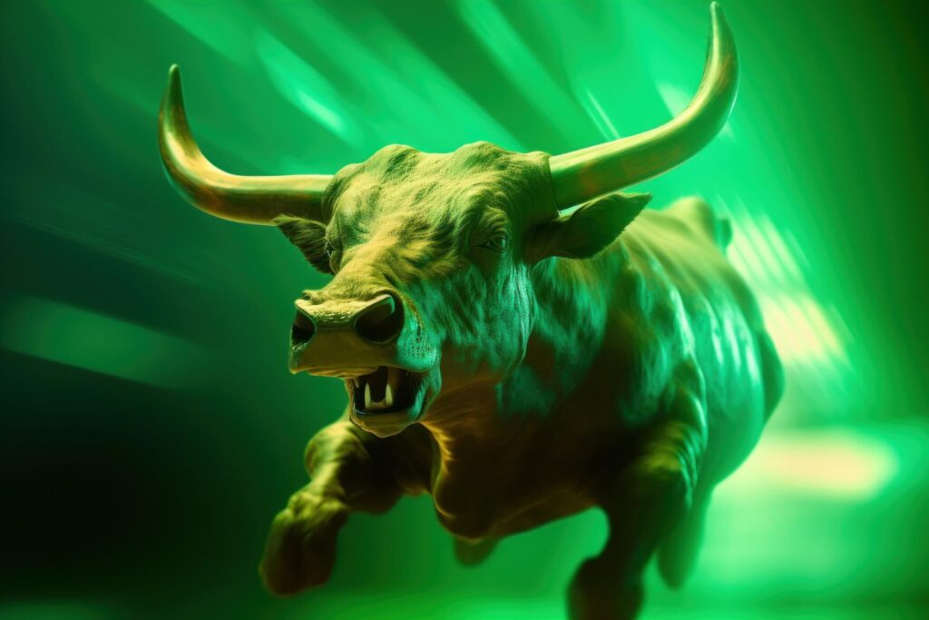 bitcoin bull