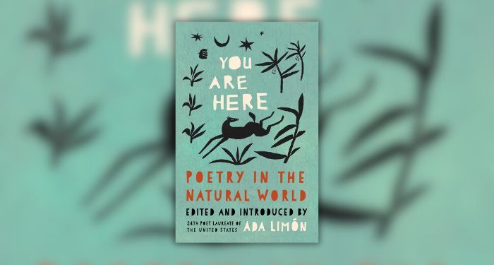 you are here edited by ada limon.jpg.optimal