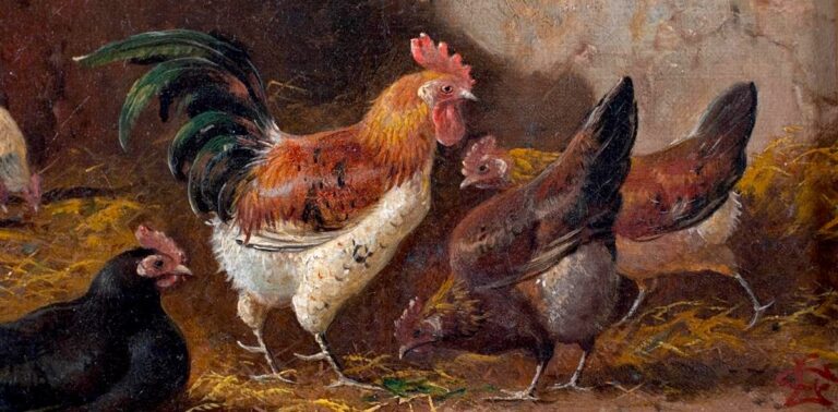 chicken